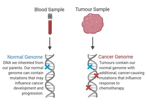 Cancer Genomics .